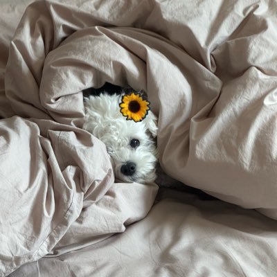 Narockds_'s profile picture. ˚₊‧모 아님 도 후회 없이 난‧₊˚ 중2락덕💕 ㅣ 녜프