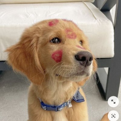 Desaxdd's profile picture. 