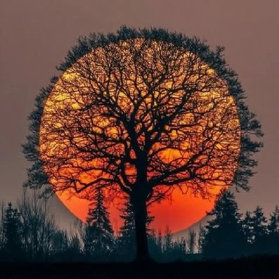 biggieisforyou's profile picture. GRACED 😇