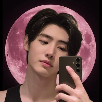 sunsunist12's profile picture. he | him