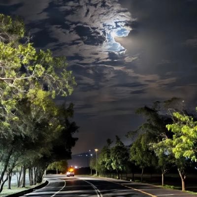 Yy1yysfMn's profile picture. 