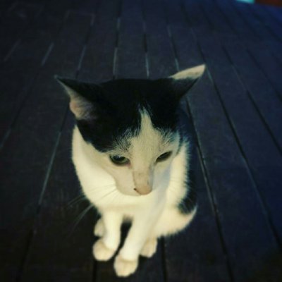 @Curiosityisc00l