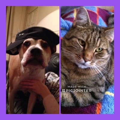 Maria_Panayides's profile picture. 