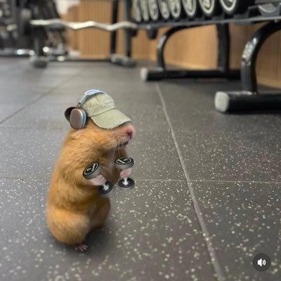 elitetn2025's profile picture. If I didn’t love football, my blood pressure would thank me 🫀⚽