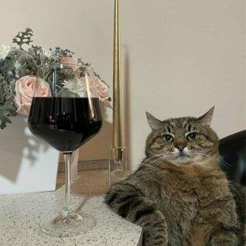 BarthCrypto_KR's profile picture. 📈Alive Contrarian indicator | 🍒Skilled Defi farmer | 🧑🎓PhD in ponzinomics | 😎Chill Arbitrageur