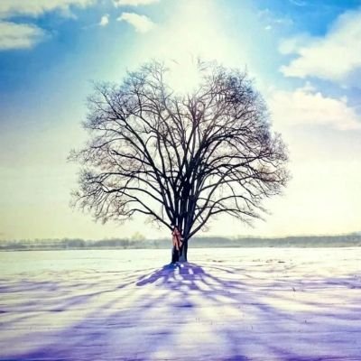 TOKI274514's profile picture. 中日ドラゴンズ地元なので応援📣しています、心霊系YouTubeとTikTok好きでlive配信良く観てる、ポコチャでは岡﨑雪さん推しlive配信で応援🥰ビ―イング系の歌はZARD、蒲池幸子さんの時から好きです