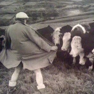 tokyo_dublin's profile picture. 