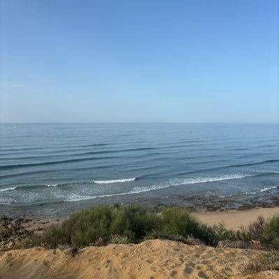 Elliscov55's profile picture. CCFC | Coventry season ticket holder | Number 1 source for transfer rumours | Hate Russell Martin Hate Celtic Love bants