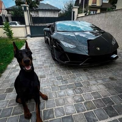 jefferson_13314's profile picture. 