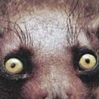 BrendanRoss (@brendanross) 's Twitter Profile