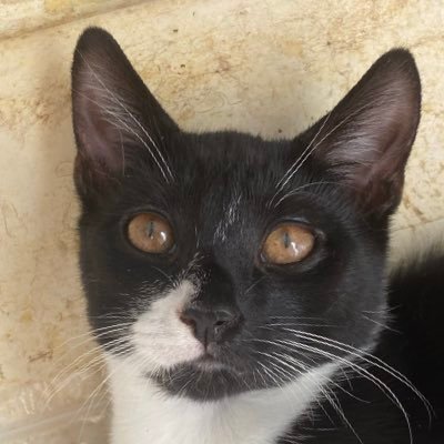 Jaxh168166's profile picture. 