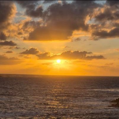 myrian2019's profile picture. 