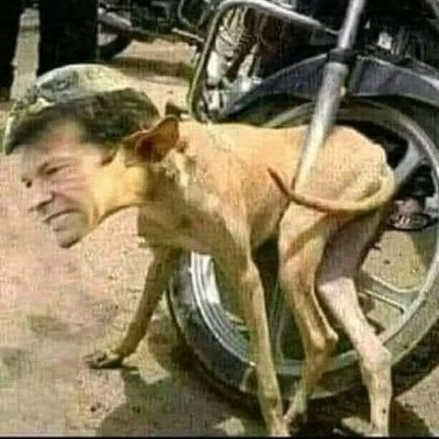 THE_SURPRISE_'s profile picture. جیل میں بیٹھ ایک چور روزأنا کی بنیاد پر کوہی نیی چٶل مار کر یوتھیوں کو سرپراہز دیتا ہے🐣🙉💩