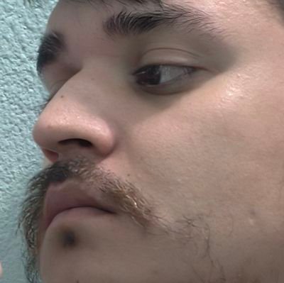 Cristotamez's profile picture. Cáncer ♋ | Tamezin Mx Sublimados | Crypto entusiasta | Fotógrafo principiante |⚡ Creador de TeamMexico en Blurt/Steemit
|
América Mexicana nos pertenece. 🇲🇽❤️