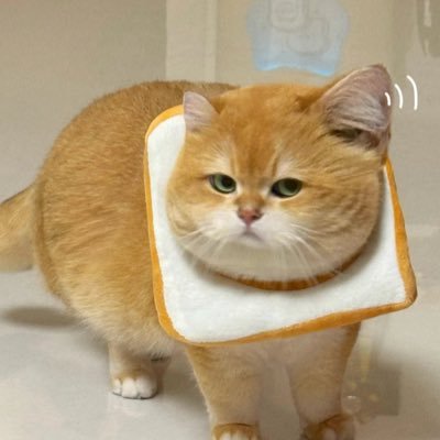 mskj2606's profile picture.