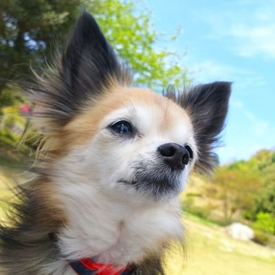 hanamal6220's profile picture. 