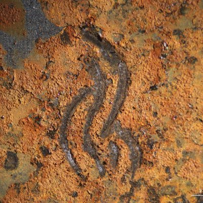 CSICCENIM's profile picture. Centro Nacional de Investigaciones Metalúrgicas #CENIM @CSIC, vanguardia desde 1963 en ciencia y tecnología de materiales en España y América Latina.