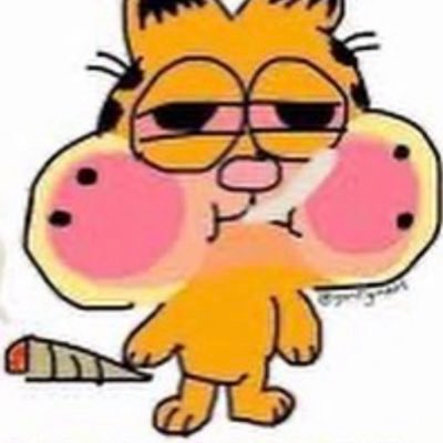 SkunkSaṃsāraさんのプロフィール画像