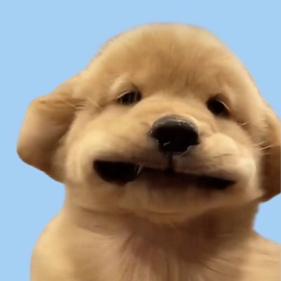 Whatiscryp2's profile picture. I can't afford X premium