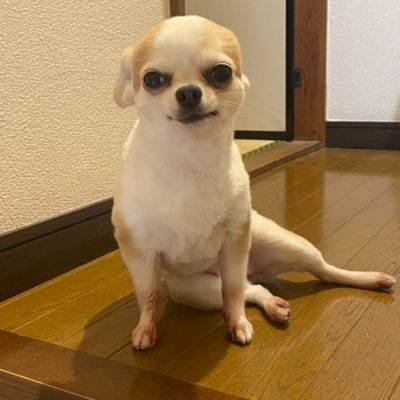 Tuognyq's profile picture. 