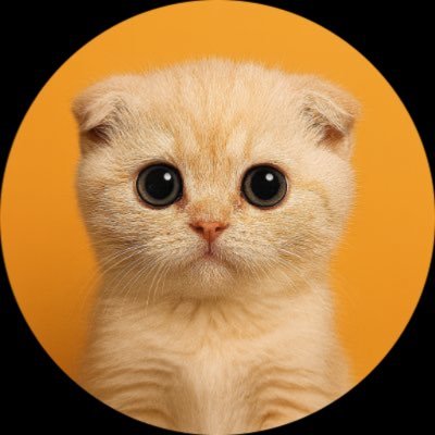 SachiCoinonsol's profile picture. Powered by the cutest force on Solana 🐾 $SACHI is more than a meme, it's a movement. Built to make crypto fun again. https://t.co/a5wKbpkaLd