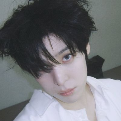 meeowv's profile picture. 