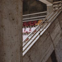 Hai Que Rollo (@haiquerollo) 's Twitter Profile