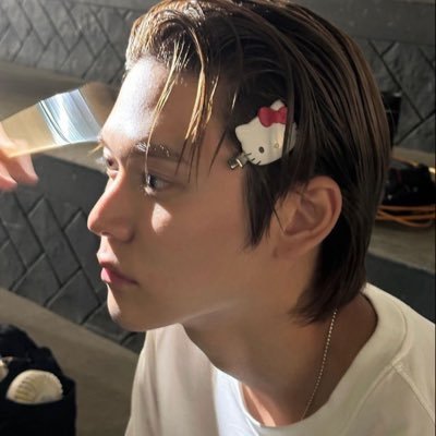 tiannotmad's profile picture. can you sing 10 20 30 40 ?