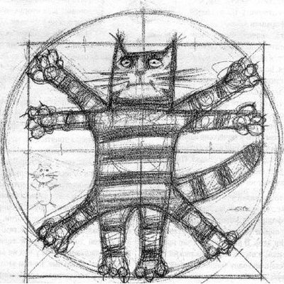 TkvitenT's profile picture. Part of the @DataHaven_xyz community