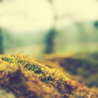 speratus00's profile picture. 안드로이드,스마트폰,IT,컴퓨터,영화,음악,KOF,SSF4AE