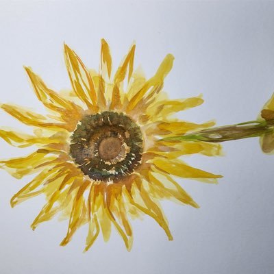 millliiier's profile picture. 