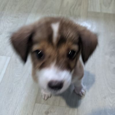 dyobb08's profile picture. 