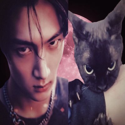 pjs420_99's profile picture. 𖥻 📎𓈒ᝰ 𓈒 ۪ 𓏸 ✶ 君がいなかったら僕もいないよ。これから一生、共に歩いていこう。