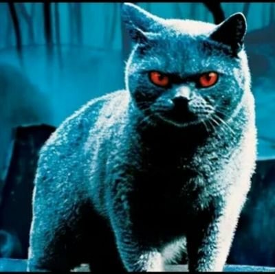 Megaloman1207's profile picture. 