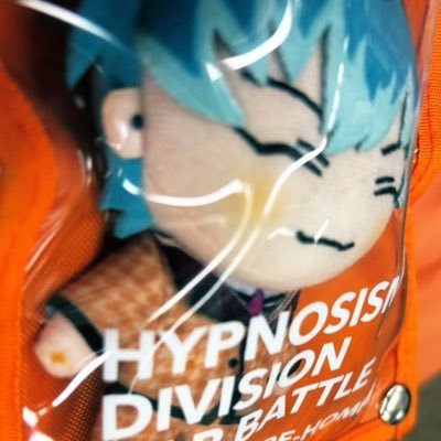 siisuui's profile picture. 20↑ぬいを愛でるただのおたく。🎤🎋🏡🧡