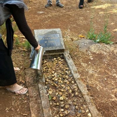 IisaaSayyidina's profile picture. sawo matang