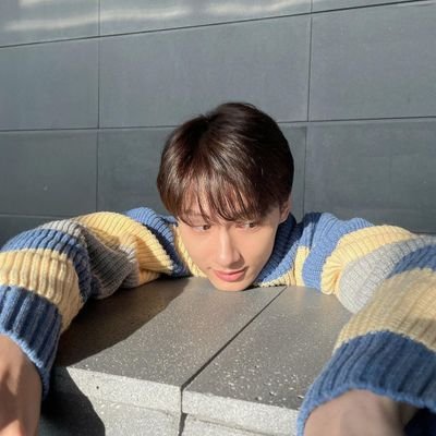 svtwithbsk's profile picture. -svt stan