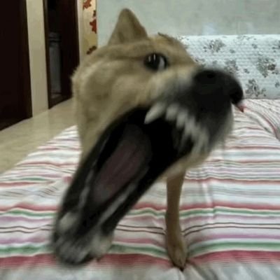 chnziln49300373's profile picture. 尸体在奔走
活人在悲鸣