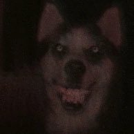 putaEskoria's profile picture. 