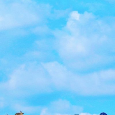 bombeom0914's profile picture. 