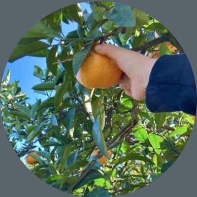 CFERK6vaNtRezxG's profile picture. 🌿発酵と薬膳の台所|hiro   発酵と薬膳で“整う暮らし”を。忙しい毎日でもできる、“やさしい食養生”を提案しています。冷え・不調・ゆらぎを、季節の食材と発酵で整える日々をnoteに。