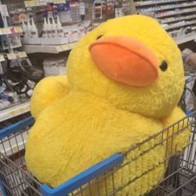 sirquackston's profile picture. 