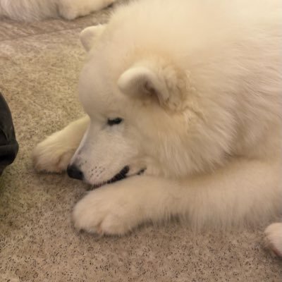 kkk__022_'s profile picture. 百合好きの05🚺です!citrusが私の座右の書