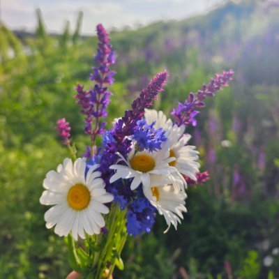 Wfsjpwle's profile picture. 日本語を勉強しながら、日本の魅力をもっと知っていきたい📖🎌