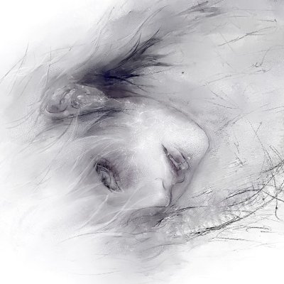 cryonaldo_'s profile picture. 🇸🇰 🇭🇺 🇬🇧| 19 | Valorant Prodigy