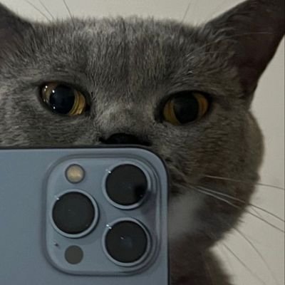 KAYAK_G's profile picture. CSE undergrad -web dev - machine learning - quant-computer vision