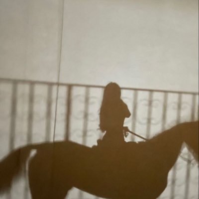 wvczw's profile picture. سوالف شخصيه متخفيه