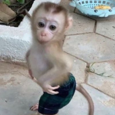 dmpleasedmme's profile picture. 구독계...