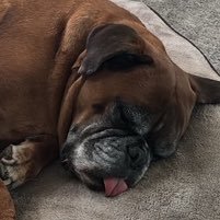 PaulEKilbyMBA's profile picture. 