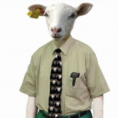 Menudotiarro1's profile picture. Inicio cuenta bis en previsión de  cuando se me pula el tuiter la oficial de @Hardly Useful